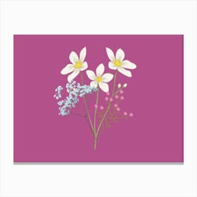 Larkspur Canvas Print