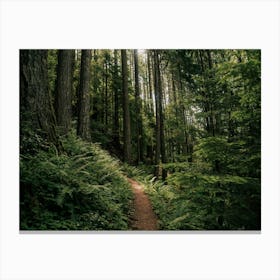 Happy Trails III Canvas Print