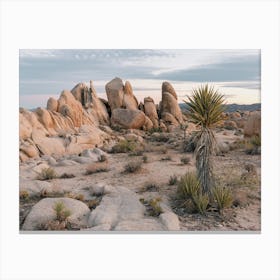 Boulder Field In Desert Canvas Print