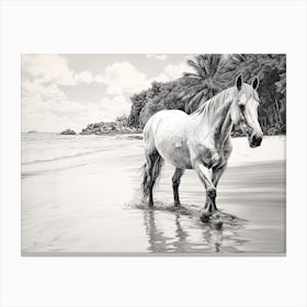 A Horse Oil Painting In Anse Cocos, Seychelles, Landscape 1 Canvas Print