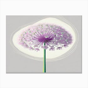 Allium 16 Canvas Print