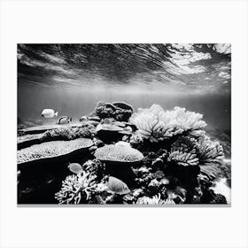 Black And White Coral Reef 1 Canvas Print