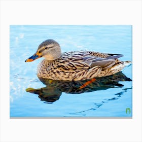Mallard Duck 20220101 134ppub Canvas Print