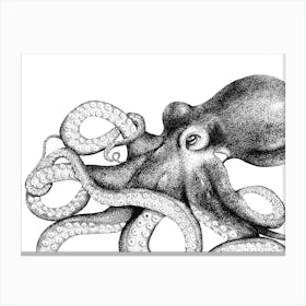 Dotwork Octopus Illustration Canvas Print