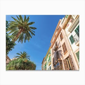 Italy Palm Tree In The Street Canvas Print