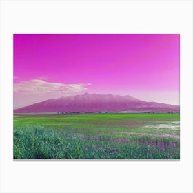 Pink Mt Blanca over Lake of Green Flowers Canvas Print