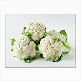 Cauliflower 13 Canvas Print