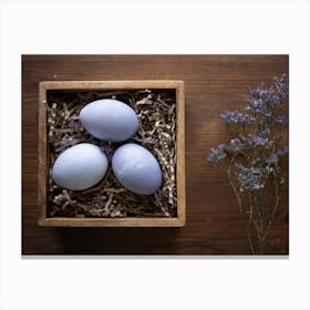 Easter Eggs 513 Canvas Print