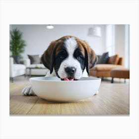 St. Bernard Puppy eating from a bowl 2 Canvas Print