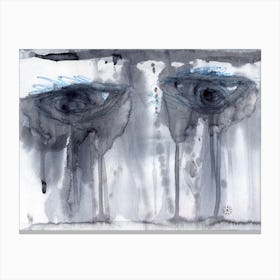 Widow Eyes Canvas Print