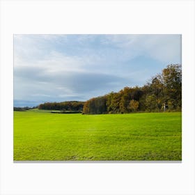 Green Field With Trees Canvas Print