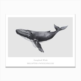 Whale And Whale Canvas Print