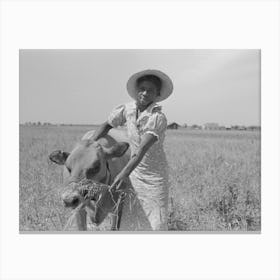 Fsa (Farm Security Administration) Client S Wife With Cow, Southeast Missouri Farms By Russell Lee Canvas Print