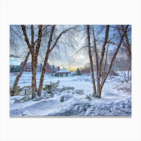 Snow Covered Trees Canvas Print