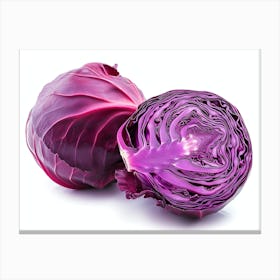 Red Cabbage (8) Canvas Print