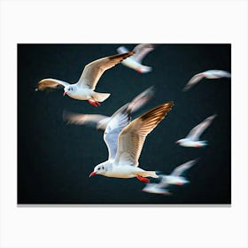 Seagulls In Flight Canvas Print