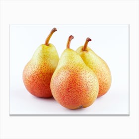 Three Pears Isolated On White 3 Canvas Print