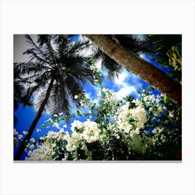 White Flowers In The Sky Blue Palm Tree Tropical Canvas Print