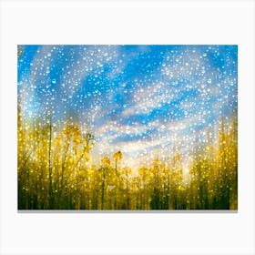 Rainy Forest Canvas Print