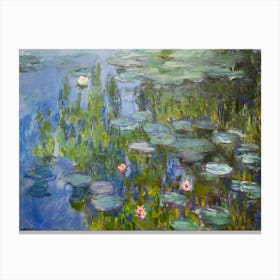 Water Lilies 16 Canvas Print