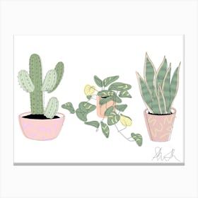 Trio Of Plants Canvas Print