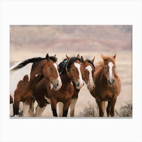 Horse Herd Canvas Print