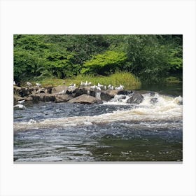 The Weir Canvas Print