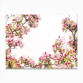 Pink Spring Flower Tree Canvas Print