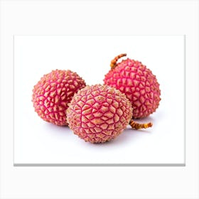 Lychee Fruit 2 Canvas Print