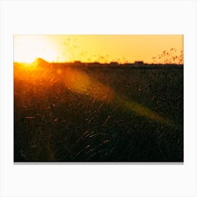 East Coast Sunrise Canvas Print