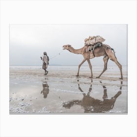 Camel Reflection On The Salt Lake Canvas Print