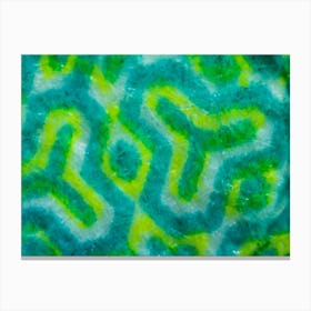 Abstract Green Pattern Fabric Texture On Israeli Money Bill Of 50 Shekel Under The Microscope Canvas Print