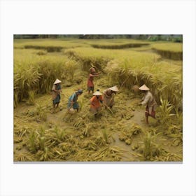 Asian People In A Rice Field Canvas Print