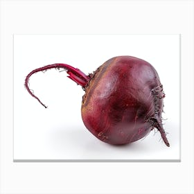 Beetroot isolated on white background. 5 Canvas Print