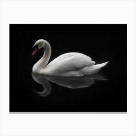 White Swan, Mute Swan, with oil paint texture. Canvas Print