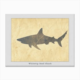 Whitetip Reef Shark Shark Silhouette 3 Poster Canvas Print