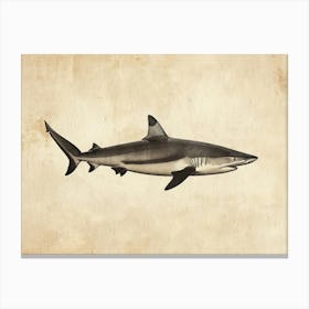 Lemon Shark Silhouette 3 Canvas Print