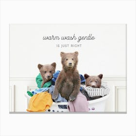 Three Bear Cubs Warm Wash Gentle Is Just Right Canvas Print