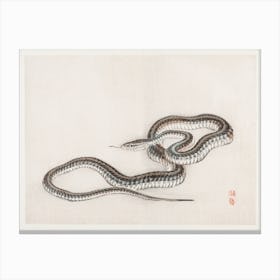 Snake, Kōno Bairei Canvas Print