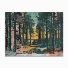 Forest Photo Collage 5 Canvas Print