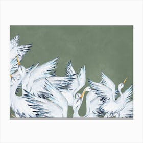 White Cranes Canvas Print