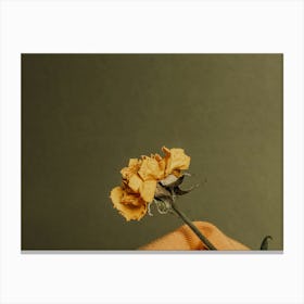Single Yellow Flower Canvas Print