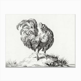Chicken, Standing On A Hill, Jean Bernard Canvas Print