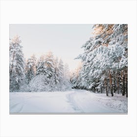 Snow Covered Winter Road Canvas Print