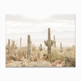 Arizona Landscape Canvas Print