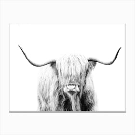 Highland Cow Canvas Print