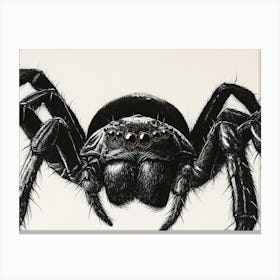 Black Widow Spider 1 Canvas Print