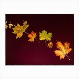 Autumnal Gradient Splash Transitioning From Warm Russet To Deep Burgundy Celebrating Thanksgiving (3) Canvas Print