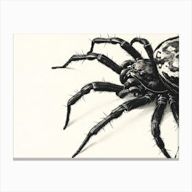 Black And White Spider Canvas Print