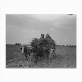 Untitled Photo, Possibly Related To Hay Loading Machine In Operation, Lake Dick Project, Arkansas By Russell Lee Canvas Print